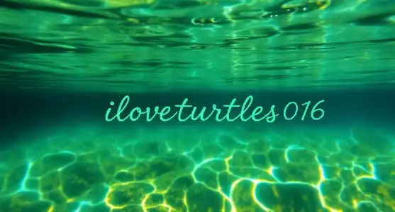 iloveturtles016